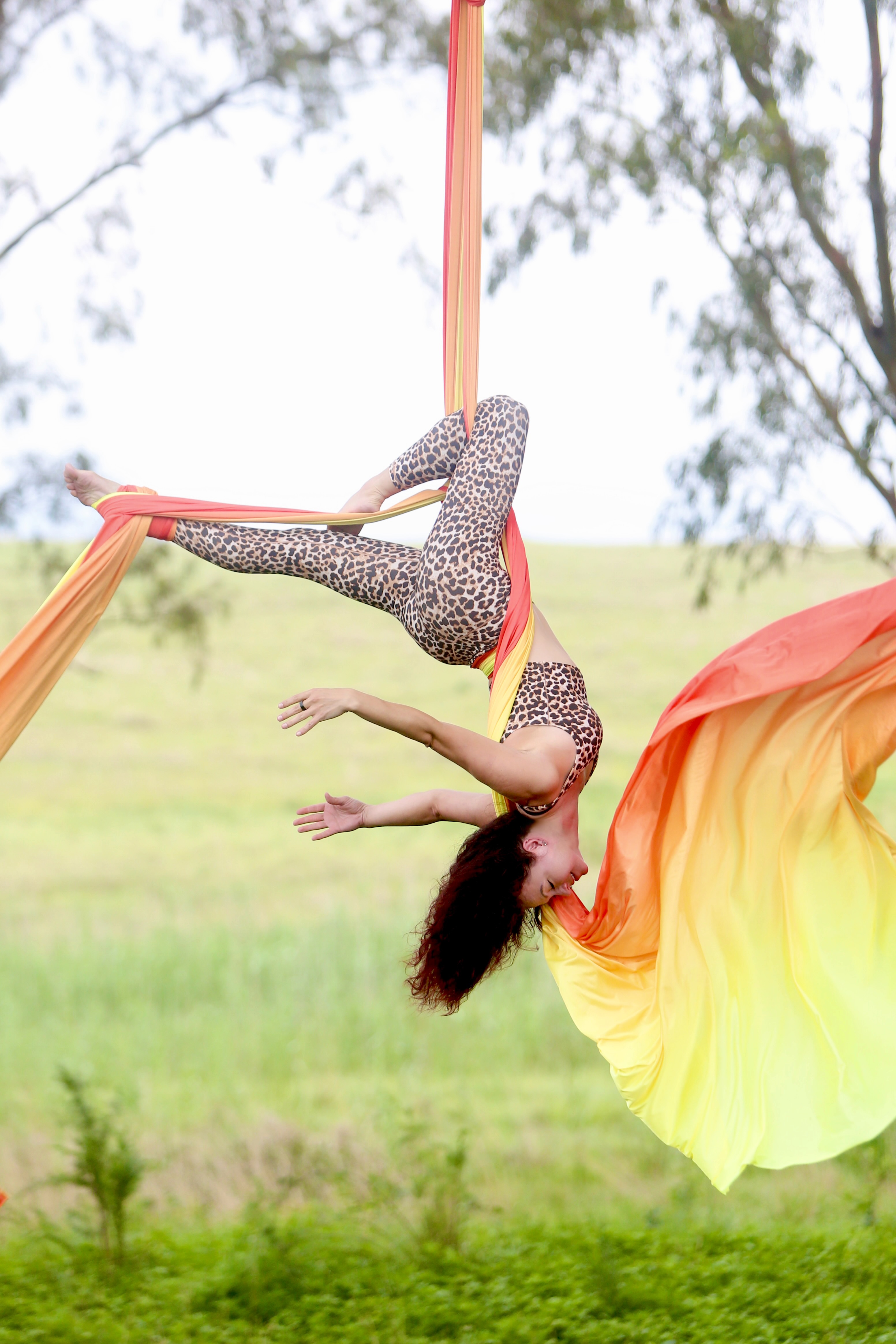 Aerial Silks
